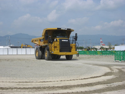 cat770_1_600.jpg