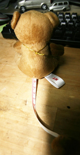st_bear_2.jpg
